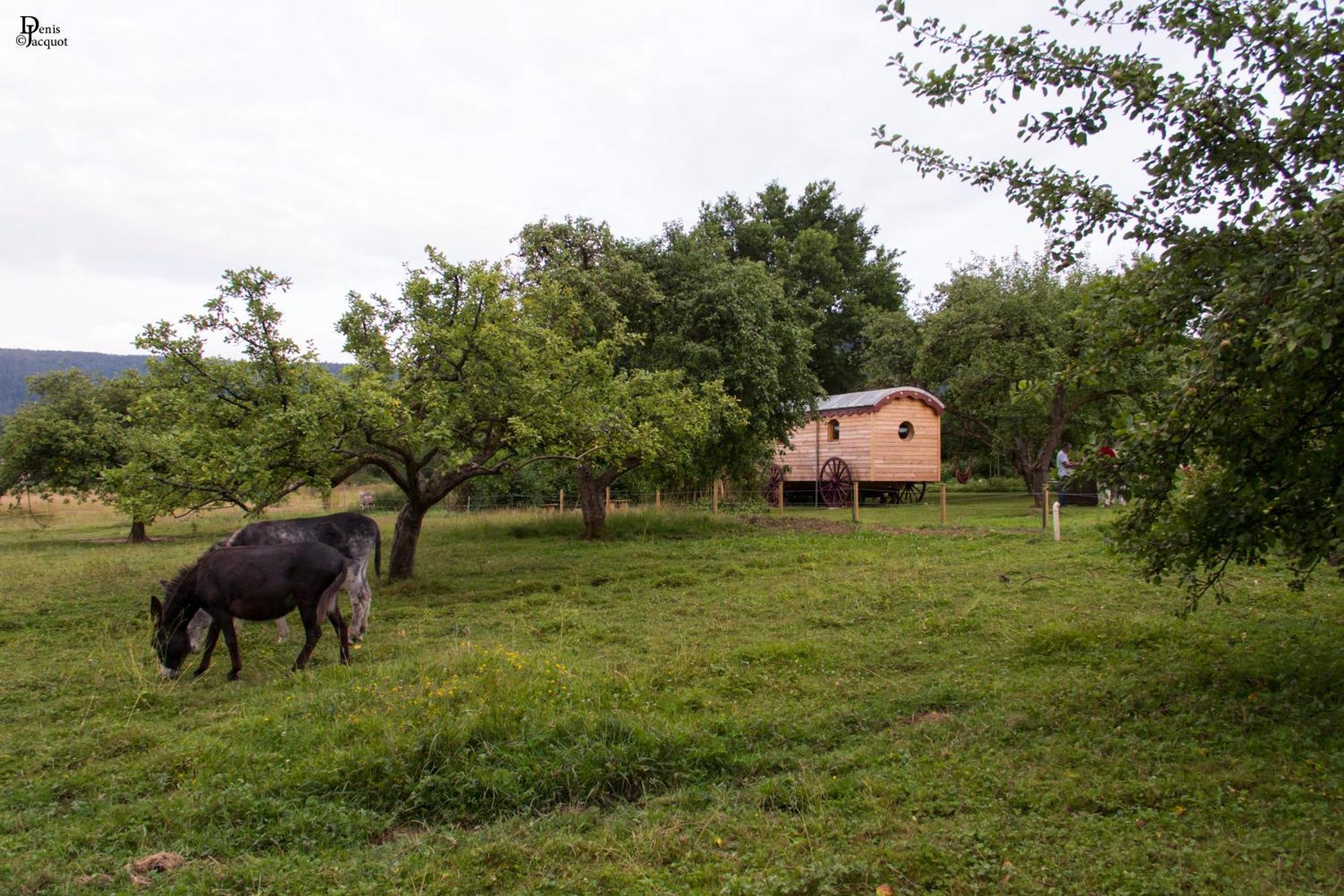 Roulotte Le Temps De Rever Bed & Breakfast Saint-Michel-sur-Meurthe Ngoại thất bức ảnh